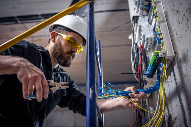 Best Affordable Electrician  in Hillsdale, MI