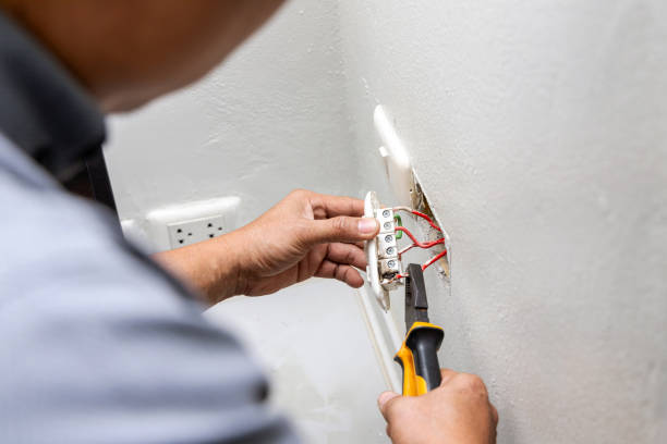 Best 24-Hour Electrician  in Hillsdale, MI